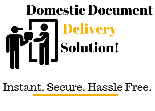 Same Day Delivery Courier Domestic